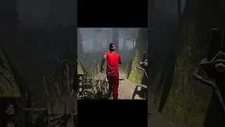 Подсейв Флешкой | DBD  