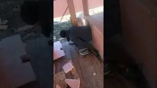 Удалик дружбан будку Буче соорудил!
