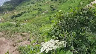Камчатка, Дачные источники, это ещё не малая долина гейзеров
