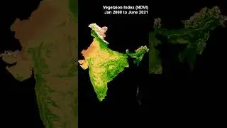 Vegetation Intensity from January 2000 to June 2021