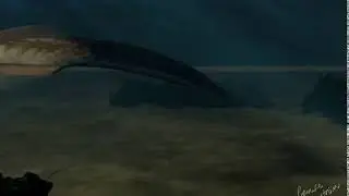First chordate named pikaia (animation)
