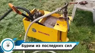 Бурим перед уходом на зиму