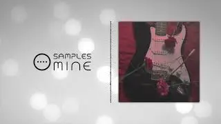 Producer Dojo - Fender Guitar Loop Kit / Sample Pack [FREE SAMPLE PACK]