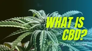 What is CBD? (Science Explained)