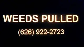 WEEDS PULLED, Barstow, CA, Weed Abatement, Weed Control, Weeds Removed, Weed Removal, Brush Removal