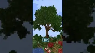 A 10.000 Block Tree in Minecraft Survival!
