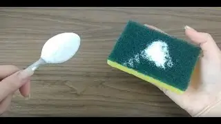 Coloque sal na esponja de lavar louça e diga adeus às bactérias!