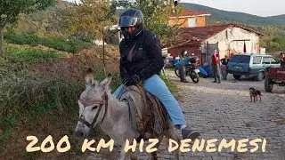 GAZA VAKTİ #beniöneçıkart #keşfet #kangal #dirilisertugrul #esek #shorts