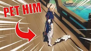 How to pet a cat Genshin Impact