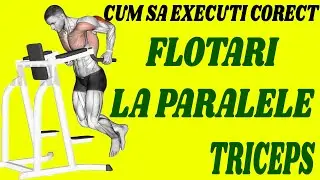 Flotari la paralele triceps - dips - Cum sa executi corect !