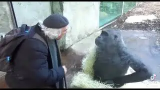 Discussing banana stocks
