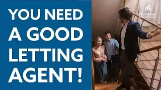 What is the letting agent? and why are they important | Momentum Property Investing