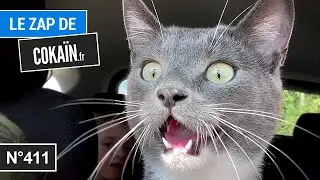 Le Zap de Cokaïn.fr n°411