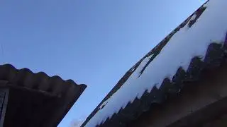 полёт Будапештских высоколётных голубей 28 02 2023г