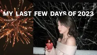 i turned 24! & new year fireworks in Stockholm🇸🇪 my last few days of 2023
