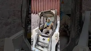 33 тысячи тон кукурузы и погрузка бульдозера 