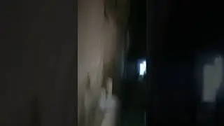 Begini Cara Ular Kawin