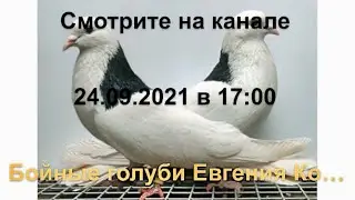 Скоро 24 09 2021 в 17 00 на канале