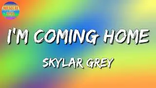 🎵 Skylar Grey - I'm coming home (Lyrics Video)