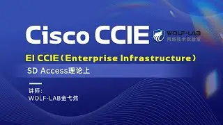Cisco CCIE EI培训课程考试理论技术学习-SD Access理论上