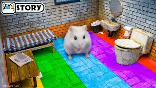 Hamster Robber escapes from Prison Maze 🐹 Homura Ham Pets