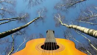 Klavier und Gitarre! 