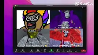 Why me mushroom and Connor can’t get on discord with k9: