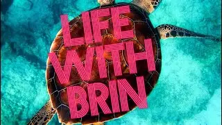 Welcome to Life With Brin!