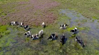 Heide Mantingerzand
