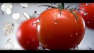 Нордмолл - ярмарка урожая