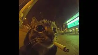 night shift