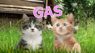 Gas - Rathergood Chat episode 8