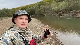 Охота на кету 2020