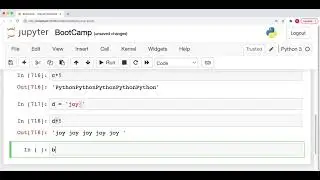 009 Python String   Multiplication Operator