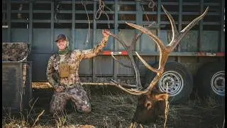 We Had To Bring Horses To Pack Out This Bull | Muley Freak | 4K Film