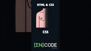 HTML & CSS