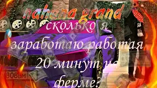 сколько же я заработаю работая на ферме?