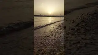 What is more beautiful than golden brown sunsets?
