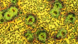 Matsumoto - Book re-mastering sneak peek 03