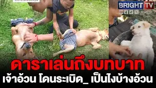 เจ้าอ้วนให้ความร่วมมือพี่ทหาร รับบทคนบาดเจ็บ สาธิตวิธีช่วยเหลือ