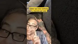 Sabes que esta contenta tu mascota por esto #funnyvideo #funnyshorts #funnyanimals