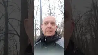 Ростов Сочи прогноз 