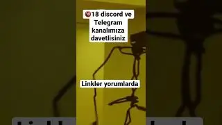 Hergün yeni ifşa 