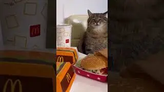 Мемы для социальных сетей