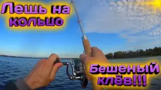 Бешеный клёв леща!!!#Ловля леща на кольцо.#Мега поводок!!!