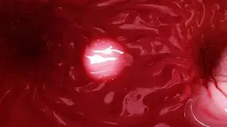 360° VR - Through a dragon