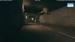 (Gmod) Seagull Horror.