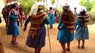 Celebrando fiesta de pumpa