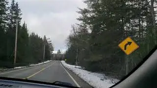 Spring storm damage #2