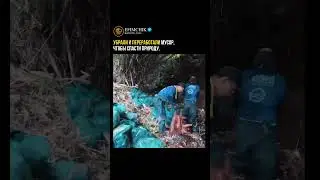 🏆 Как помочь природе 